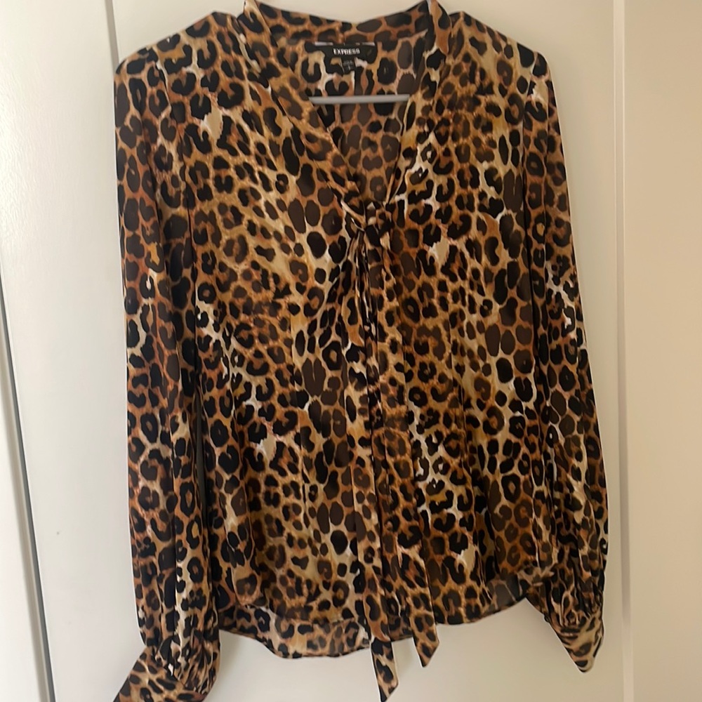 Cheetah Print Tie Blouse - Express
